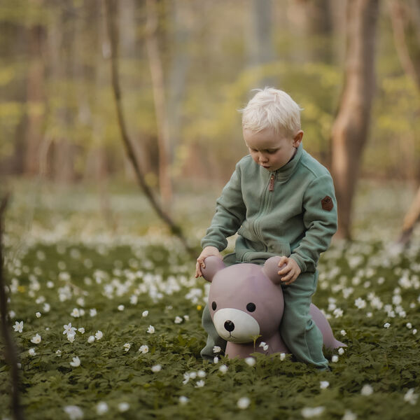 Maya the Bear Jumping Animal, Find that hippo