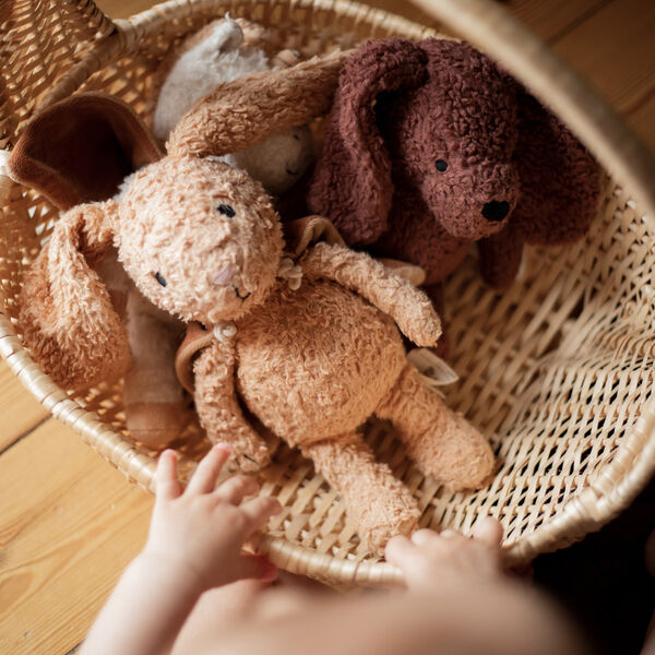 Den lyssnande kaninen med en cape, Sleeping Hero