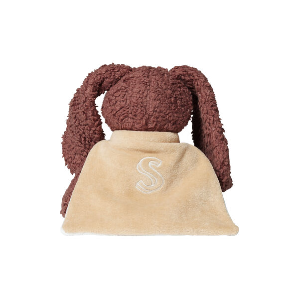 Den trogna hunden med en cape, Sleeping Hero