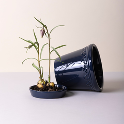 Københavner GLAZED kruka med fat, sapphire blue, Bergs Potter