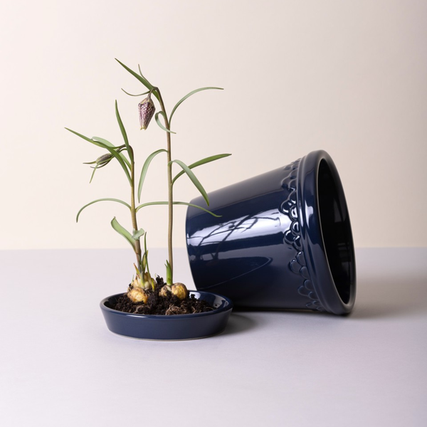 Københavner GLAZED kruka med fat, sapphire blue, Bergs Potter