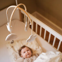 S&auml;ngmobil, Moonboon