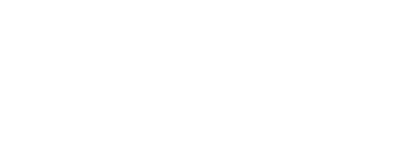 Mode nyheter dam